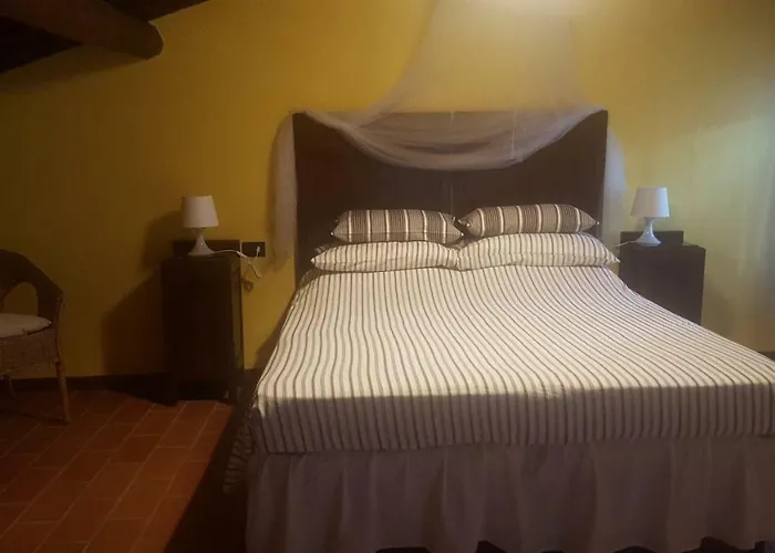 Il Borgo Dei Pini * Vinci